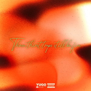 全智贤无码流出A片
