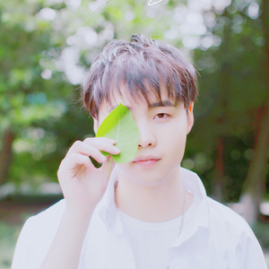 全智贤无码流出A片
